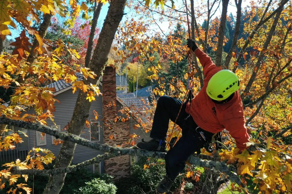 Top-rated outdoor landscaping in West Linn, OR - Morton Tree and Landscape Maintenance