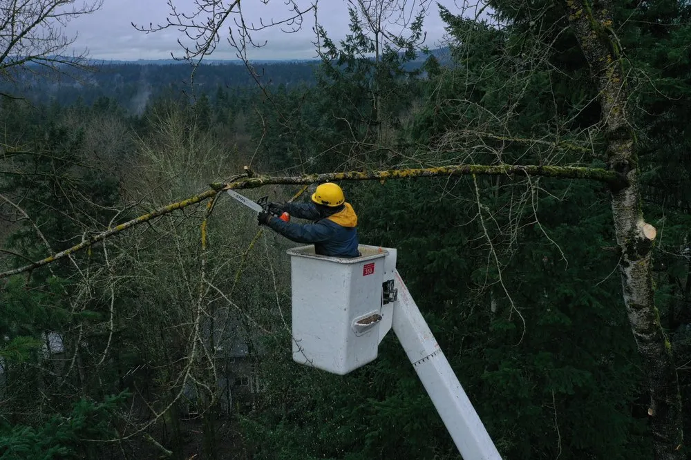 Reliable lawn mowing service in West Linn, OR - Morton Tree and Landscape Maintenance