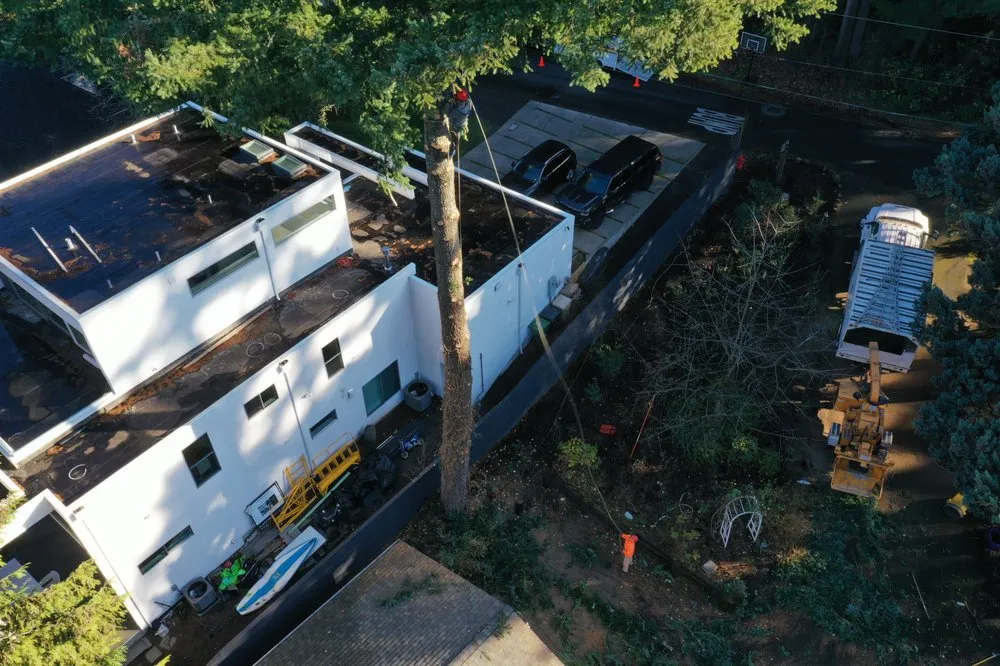 Custom yard cleanup service in West Linn, OR - Morton Tree and Landscape Maintenance