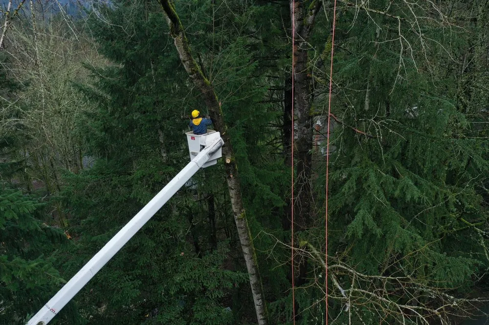 Affordable residential landscaping for homes across West Linn, OR - Morton Tree and Landscape Maintenance