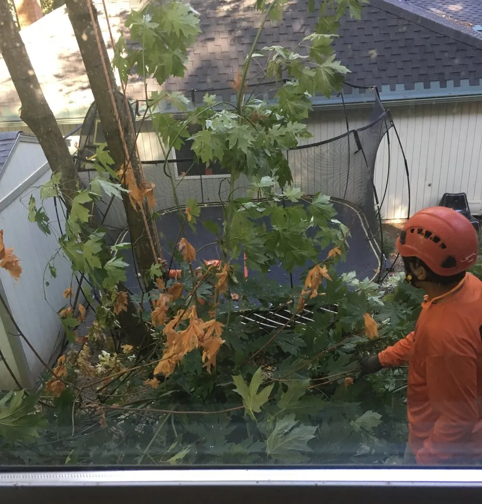 Reliable garden landscaping experts serving West Linn, OR - Morton Tree and Landscape Maintenance