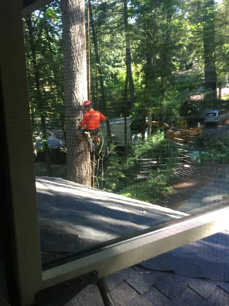 Top-rated outdoor landscaping experts serving West Linn, OR - Morton Tree and Landscape Maintenance