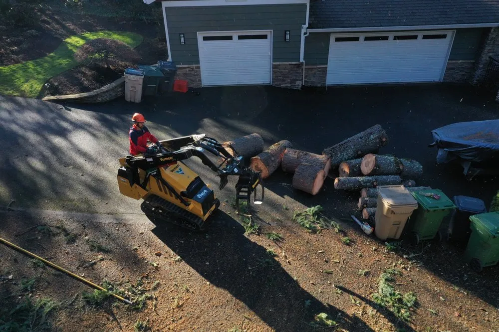 Professional outdoor landscaping for year-round maintenance across West Linn, OR - Morton Tree and Landscape Maintenance