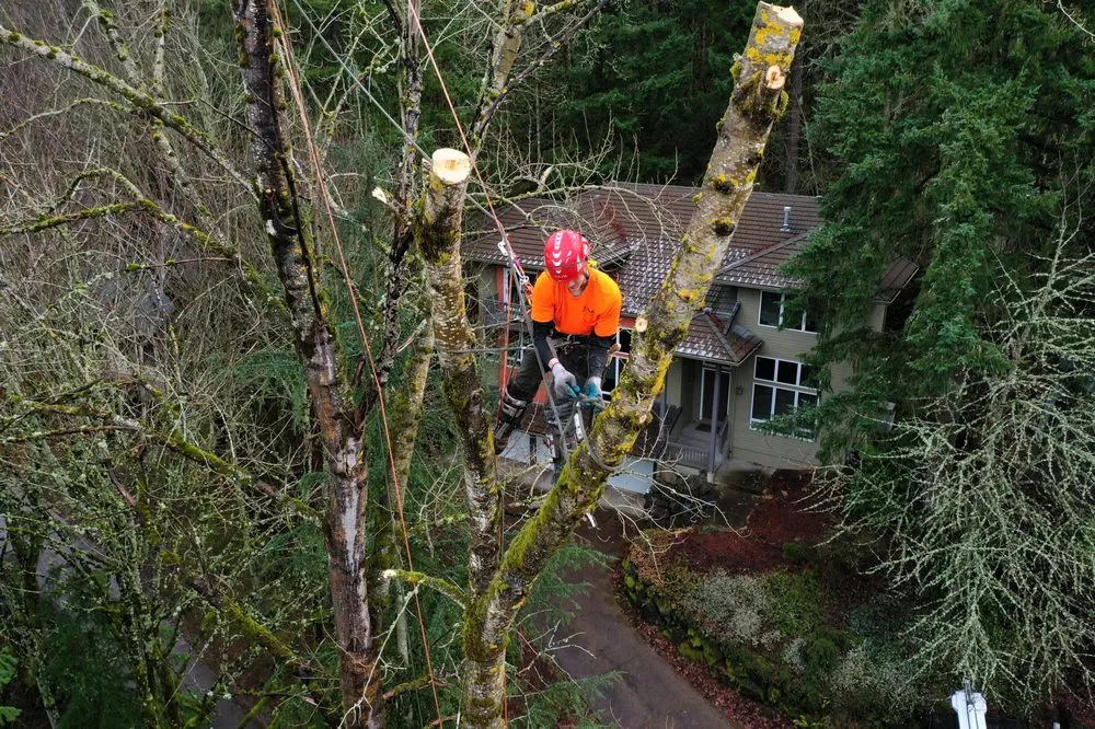 Reliable garden landscaping for outdoor upgrades across West Linn, OR - Morton Tree and Landscape Maintenance