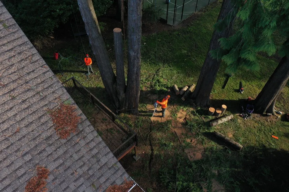 Professional lawn care service for homes across West Linn, OR - Morton Tree and Landscape Maintenance