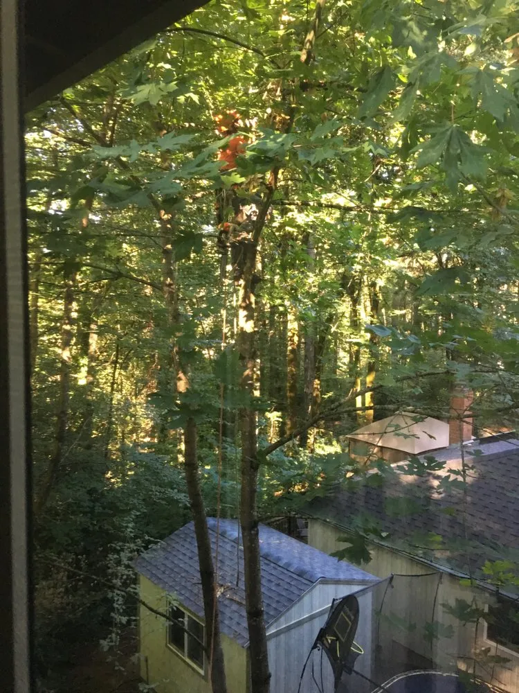 Trusted landscaping services experts serving West Linn, OR - Morton Tree and Landscape Maintenance