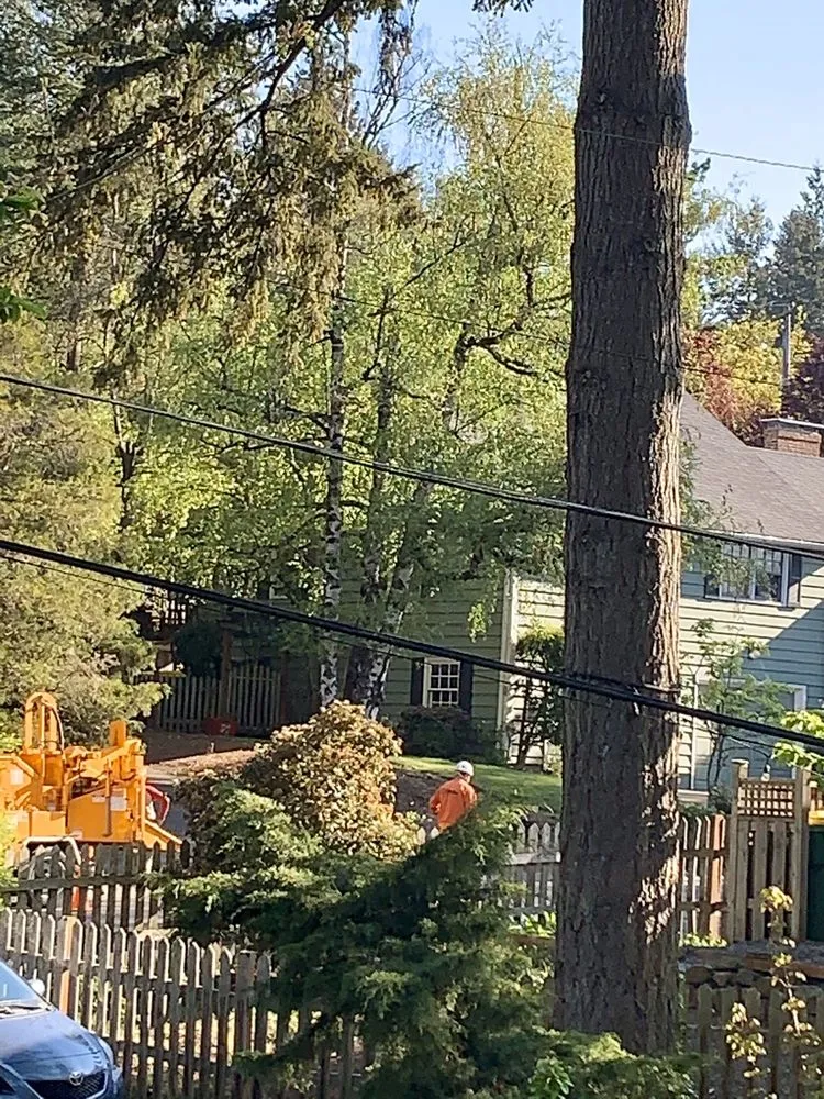 Expert garden landscaping for beautiful yards in West Linn, OR by Morton Tree and Landscape Maintenance