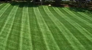 Affordable lawn care service in Lillington, NC by Morton's Landscaping