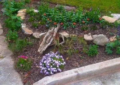 Affordable landscaping services for beautiful yards in Fayetteville, GA by Morton's Lawn Service