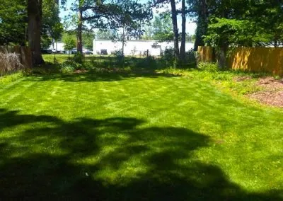 Reliable yard maintenance in Fayetteville, GA by Morton's Lawn Service