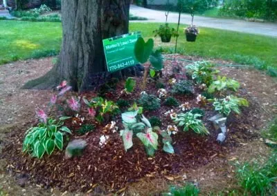 Local lawn care service in Fayetteville, GA by Morton's Lawn Service