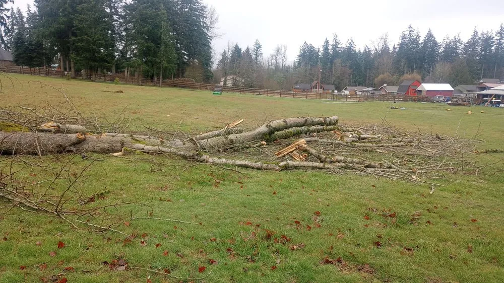 Reliable landscaping services near you in Auburn, WA by Mortstar Industries