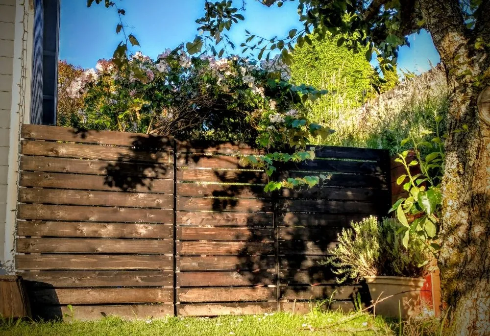 Professional landscaping services near you in Auburn, WA by Mortstar Industries