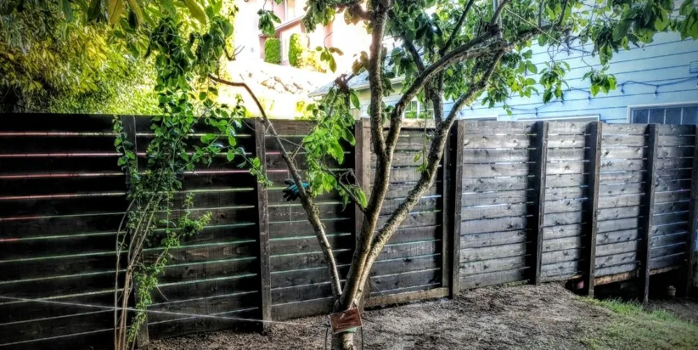 Affordable outdoor landscaping in Auburn, WA by Mortstar Industries