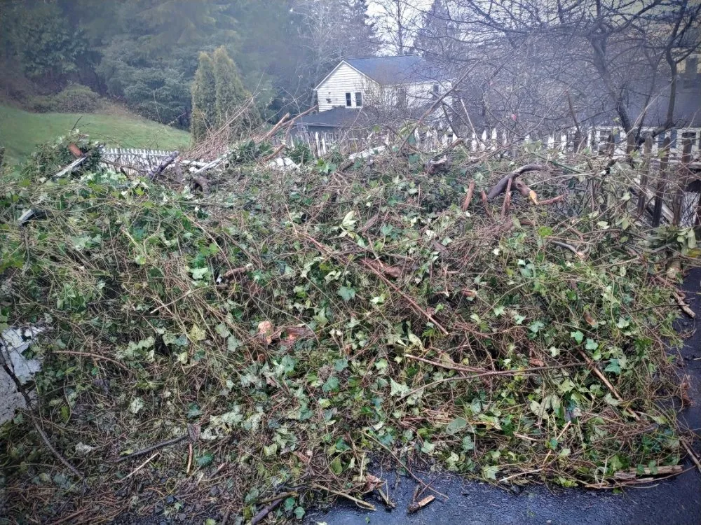 Local yard cleanup service in Auburn, WA by Mortstar Industries