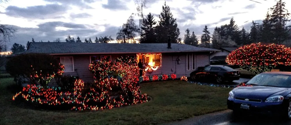 Affordable residential landscaping experts serving Auburn, WA - Mortstar Industries