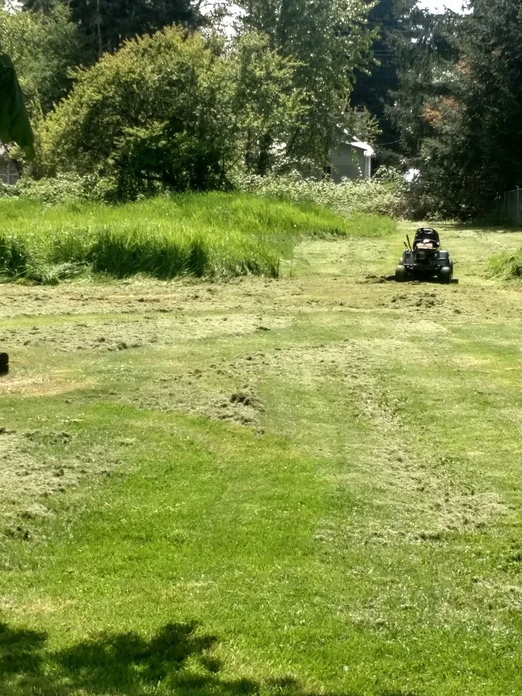 Custom lawn care service in Auburn, WA - Mortstar Industries