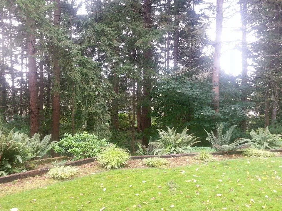 Professional residential landscaping in Auburn, WA - Mortstar Industries