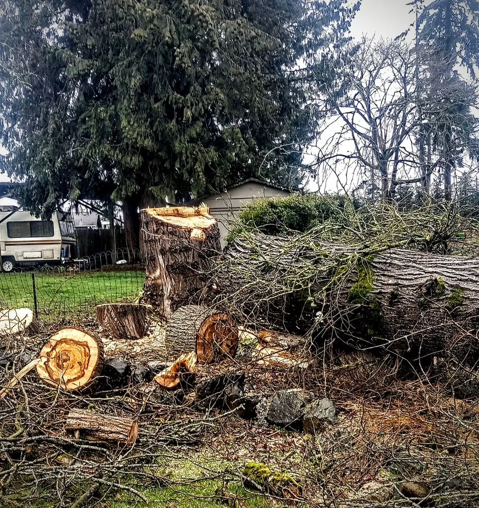 Reliable outdoor landscaping for outdoor upgrades across Auburn, WA - Mortstar Industries