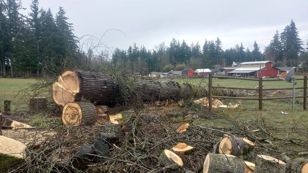 Affordable residential landscaping for beautiful yards across Auburn, WA - Mortstar Industries