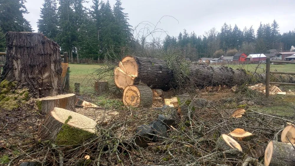 Affordable lawn mowing service in Auburn, WA - Mortstar Industries