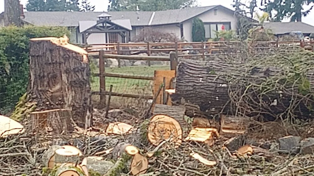 Top-rated landscape design in Auburn, WA by Mortstar Industries