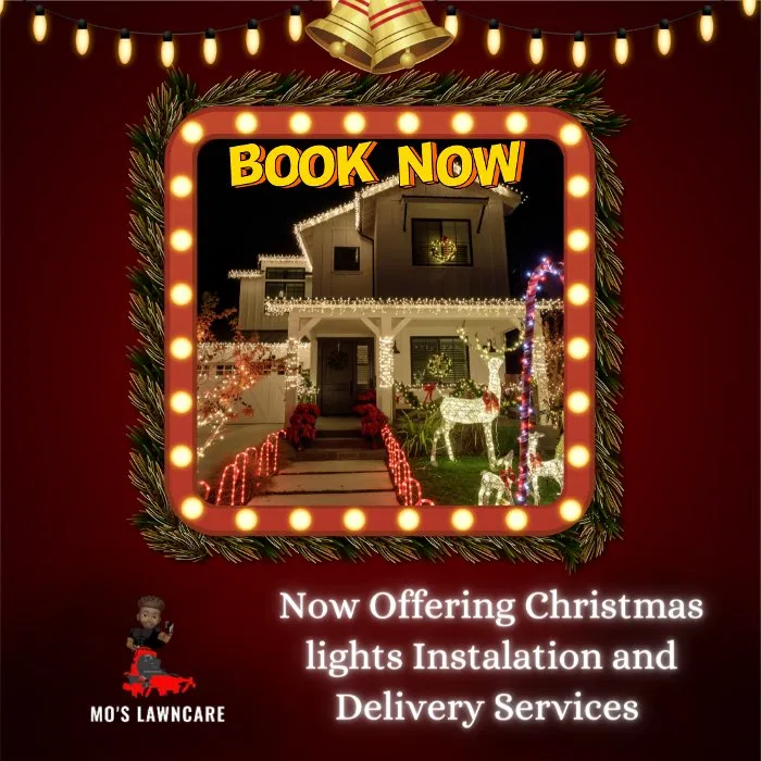 Professional landscape design for outdoor upgrades across Amarillo, TX - Mo's Lawncare