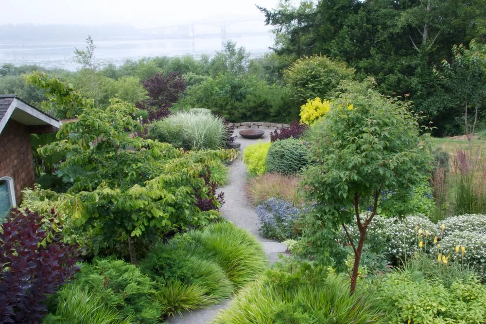Top-rated yard cleanup service for outdoor upgrades in Eugene, OR by Mosaic Gardens