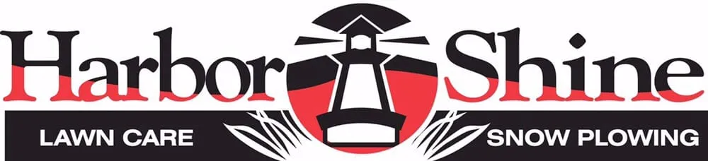 Trusted yard cleanup service in Benton Harbor, MI - Mosaic Property Services