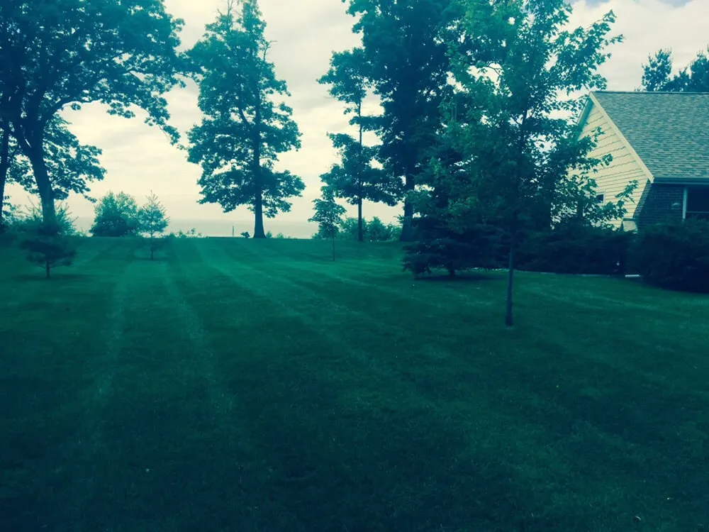 Reliable outdoor landscaping near you in Benton Harbor, MI by Mosaic Property Services