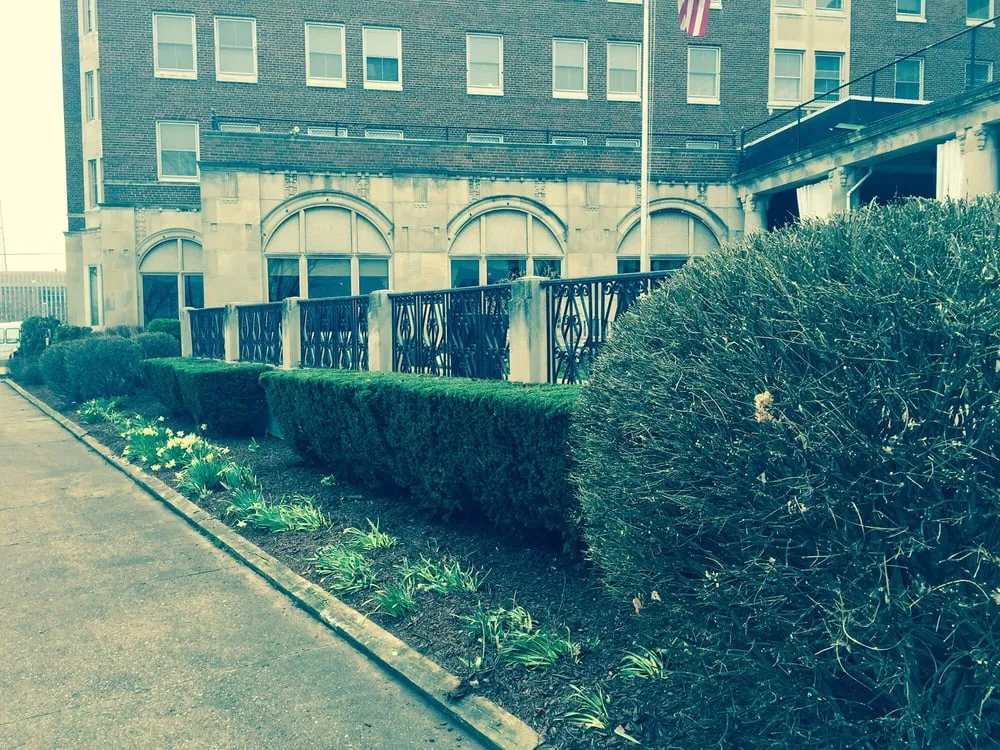 Custom landscaping services experts serving Benton Harbor, MI - Mosaic Property Services