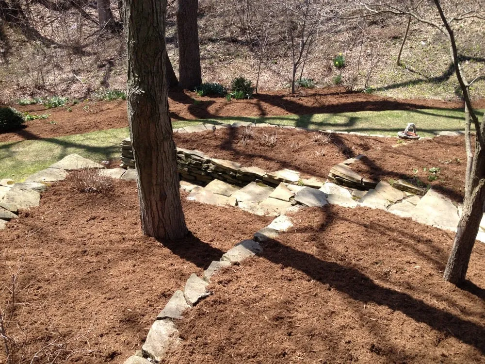 Affordable yard maintenance in Benton Harbor, MI by Mosaic Property Services