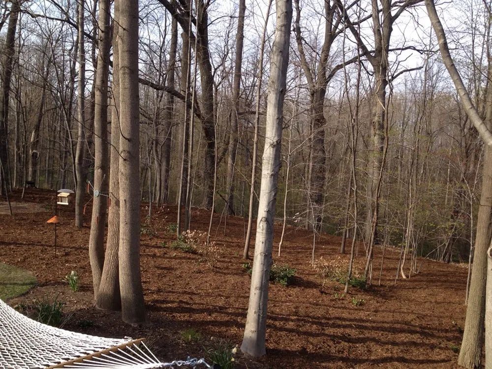 Expert lawn care service in Benton Harbor, MI - Mosaic Property Services