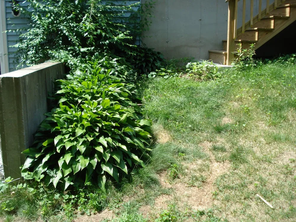 Top-rated residential landscaping experts serving South Weymouth, MA - Mosca Landscaping
