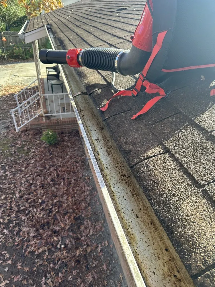 Top-rated landscape design in Newport News, VA - Moseleys Lawn Care