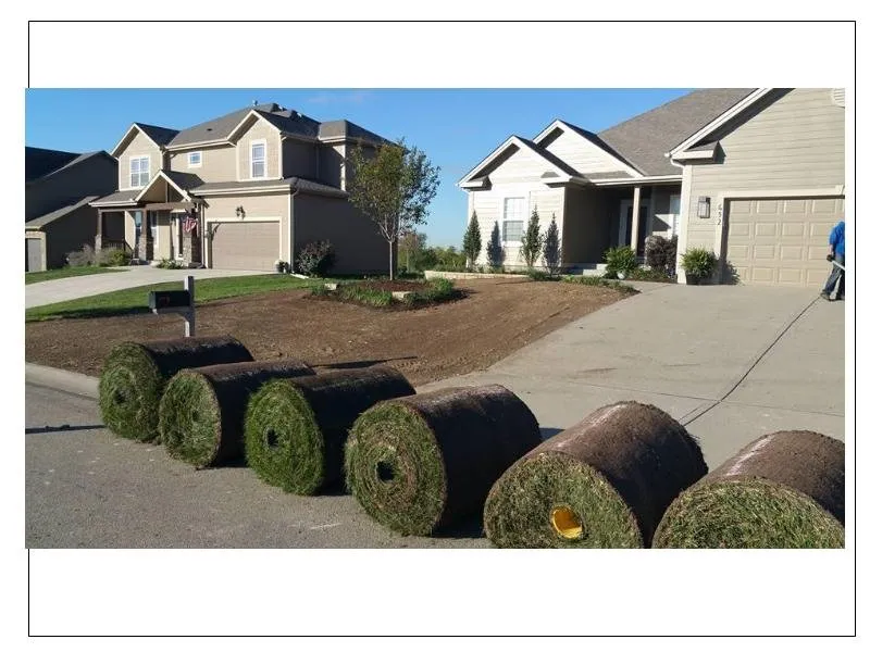 Affordable yard cleanup service near you in Olathe, KS by Moser Lawn & Landscape