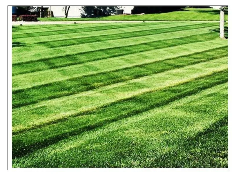 Trusted outdoor landscaping experts serving Olathe, KS - Moser Lawn & Landscape