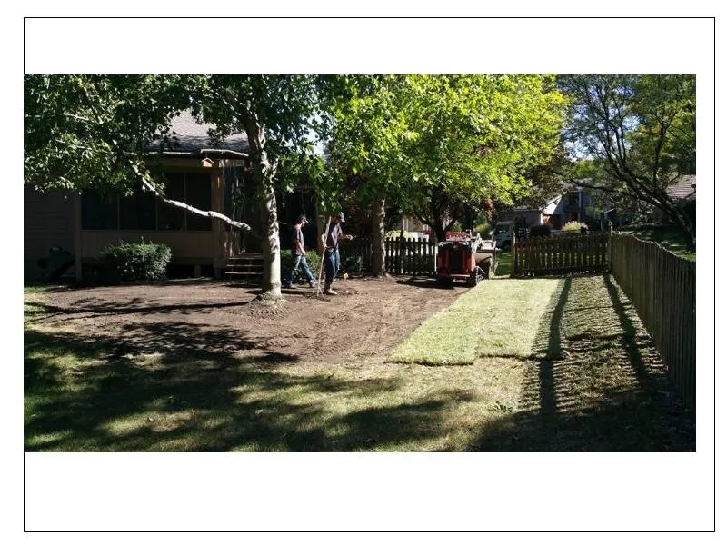 Local landscaping services for residential properties in Olathe, KS by Moser Lawn & Landscape