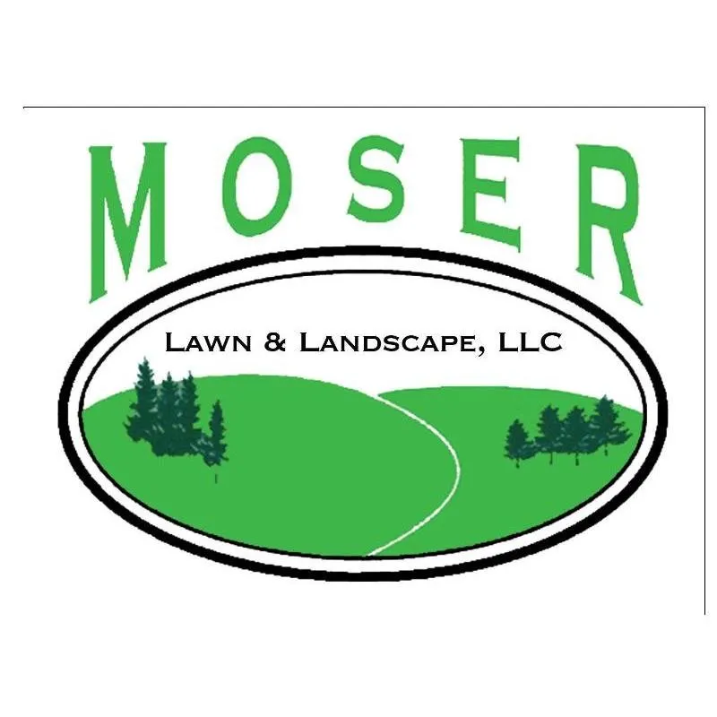 Custom yard maintenance experts serving Olathe, KS - Moser Lawn & Landscape