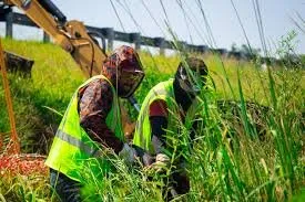 Reliable lawn care service for residential properties across Uvalda, GA - Moses Grass Company