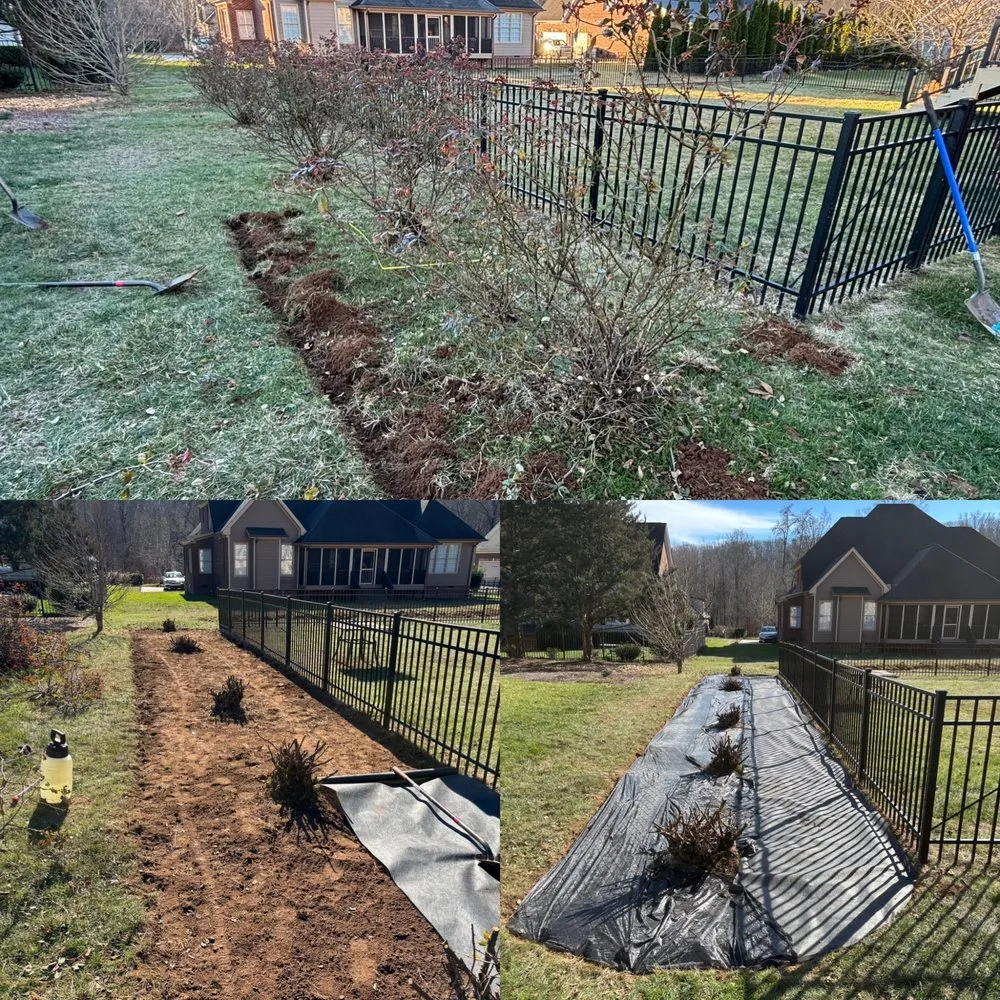 Affordable landscape installation for year-round maintenance across Chattanooga, TN - Moses Landscaping