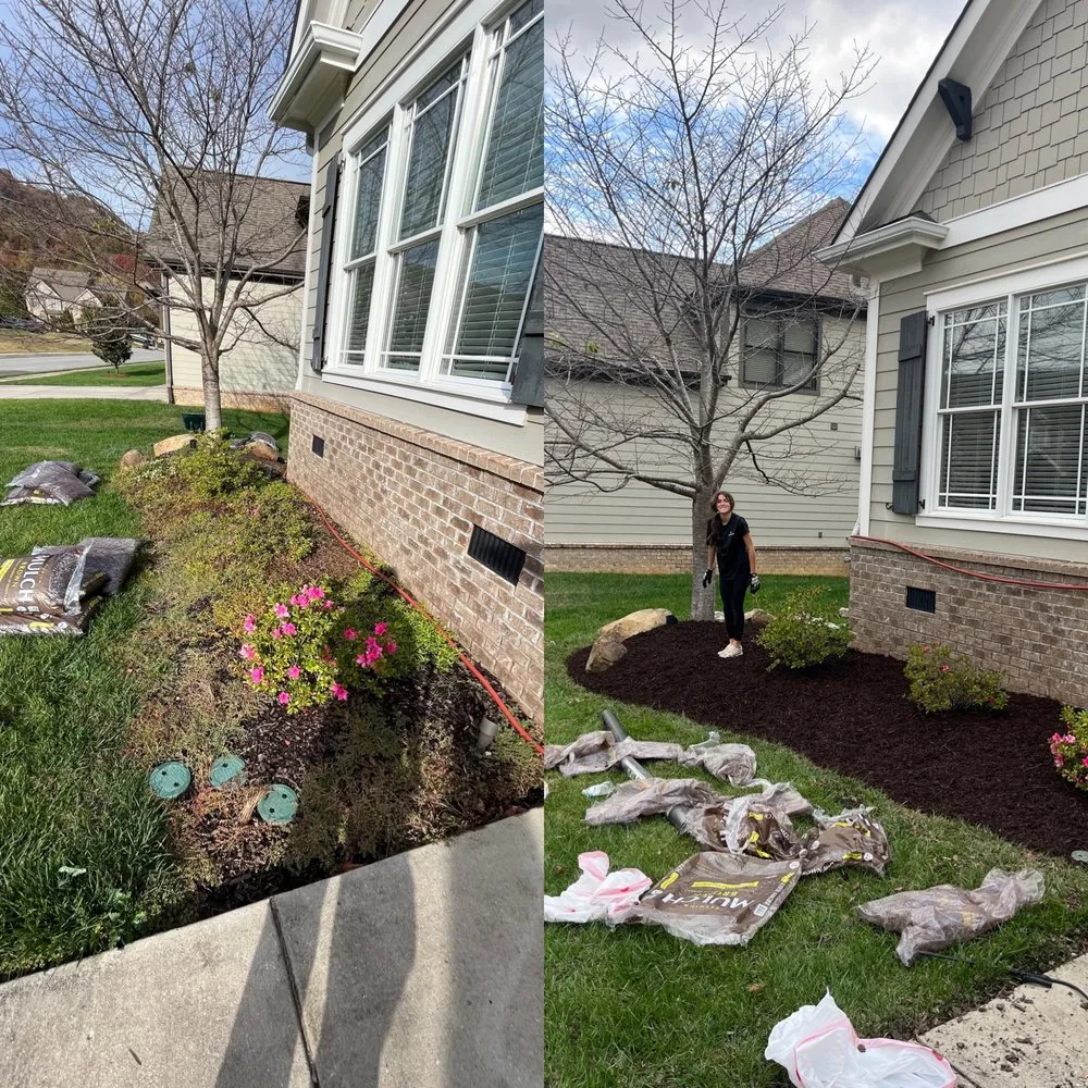 Reliable lawn care service in Chattanooga, TN by Moses Landscaping