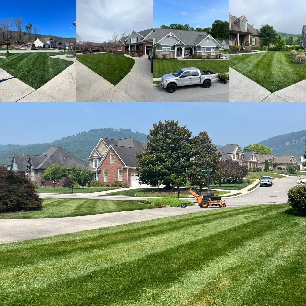 Professional landscape design in Chattanooga, TN by Moses Landscaping