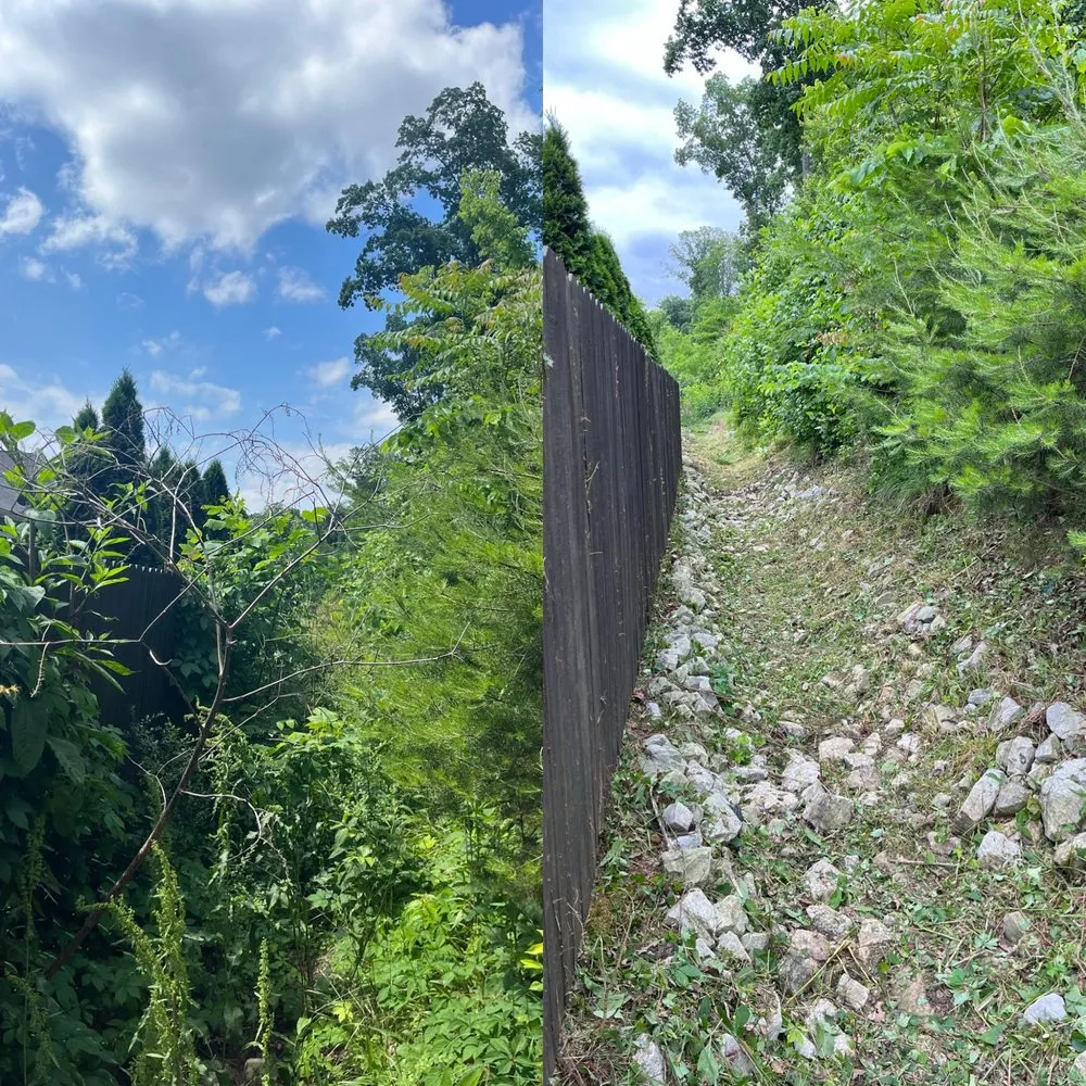 Professional landscape installation in Chattanooga, TN by Moses Landscaping