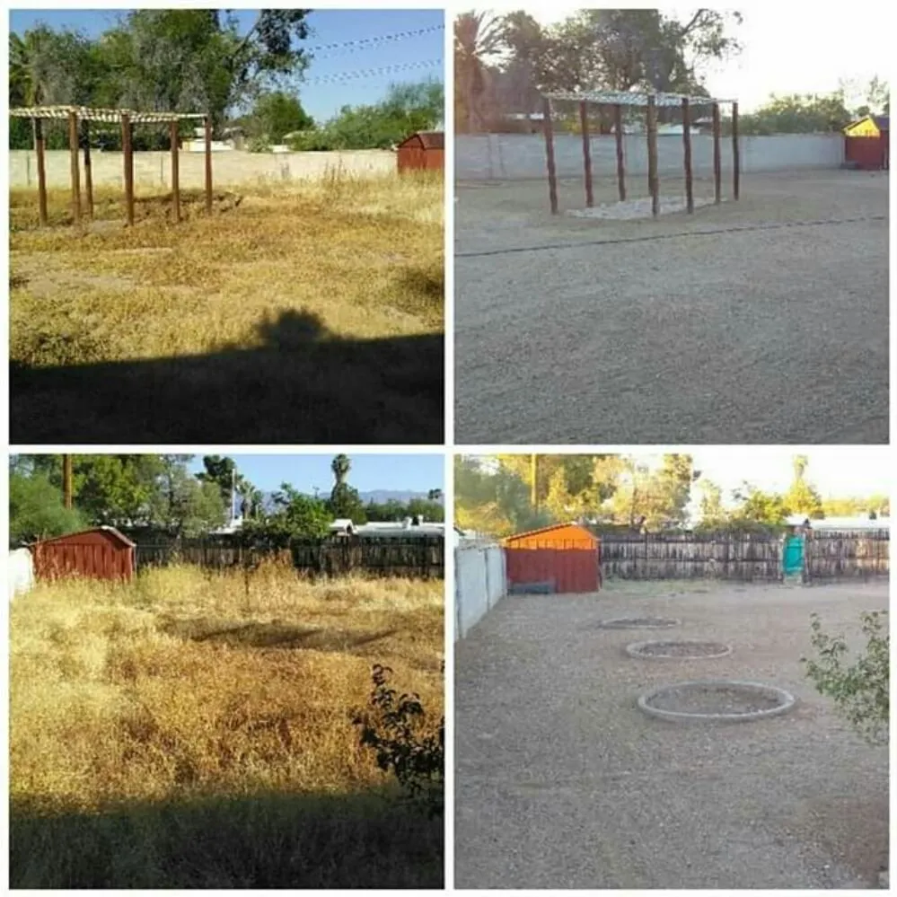 Custom lawn care service in Tucson, AZ - Moses Landscaping