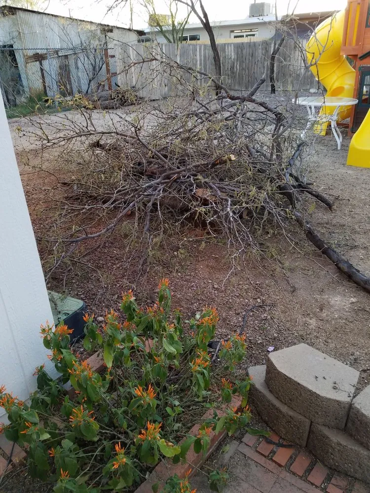 Custom landscape design for outdoor upgrades across Tucson, AZ - Moses Landscaping