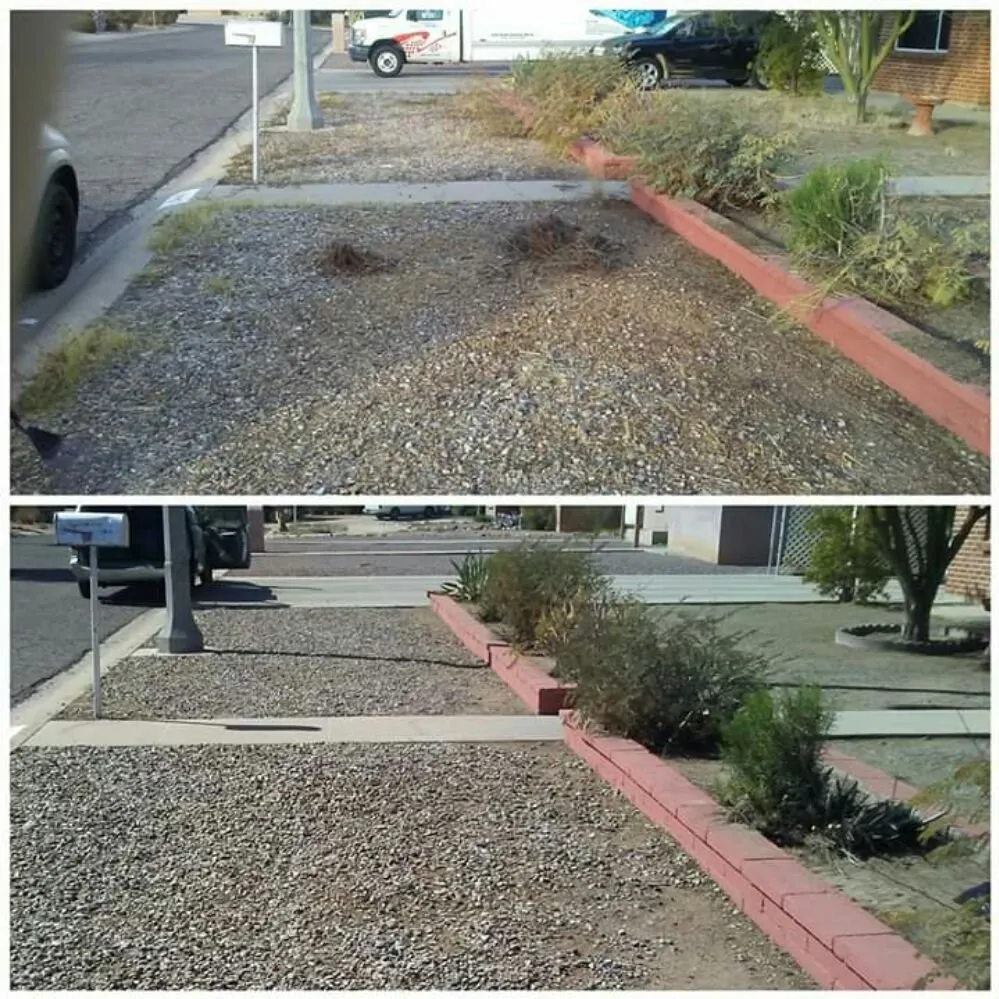 Affordable yard cleanup service in Tucson, AZ by Moses Landscaping