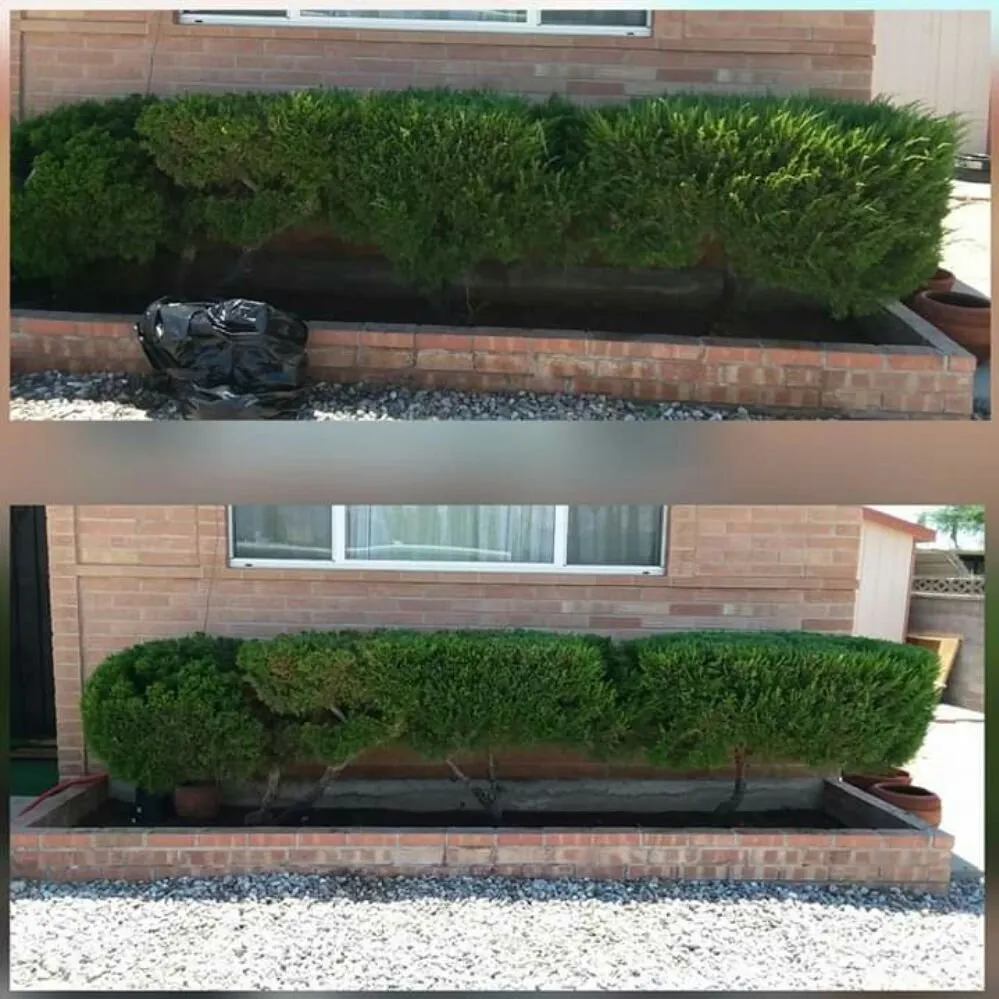 Top-rated outdoor landscaping experts serving Tucson, AZ - Moses Landscaping