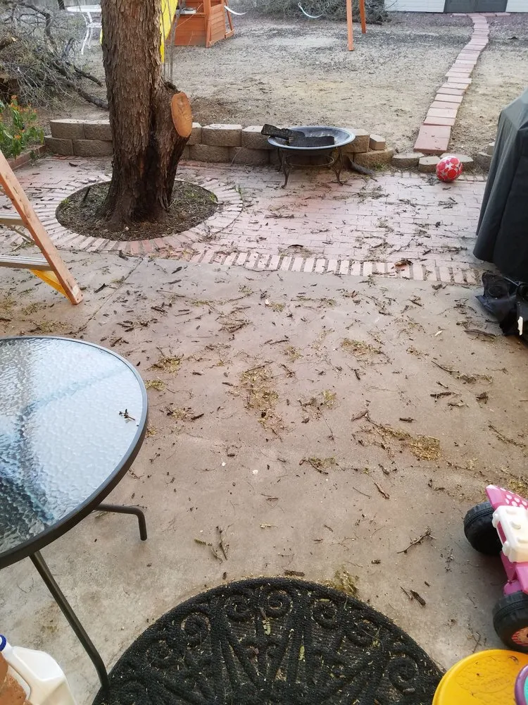 Local landscape installation for residential properties across Tucson, AZ - Moses Landscaping