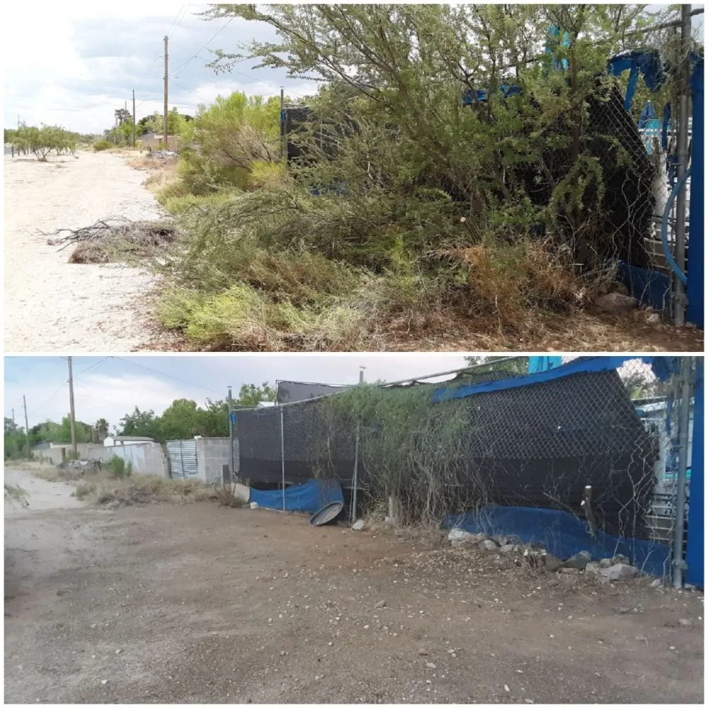 Affordable landscaping services experts serving Tucson, AZ - Moses Landscaping